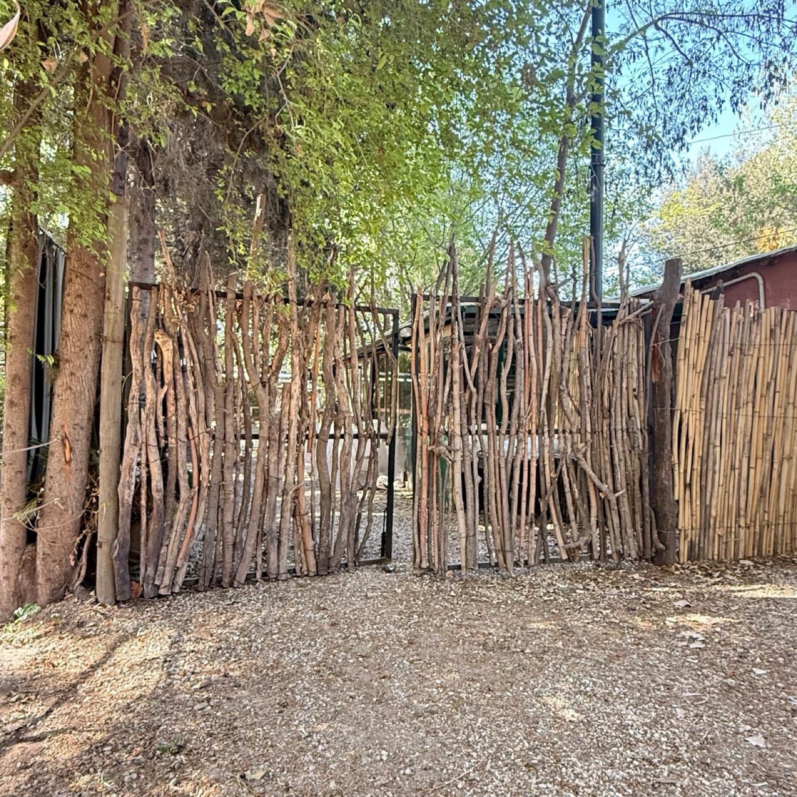 image 18