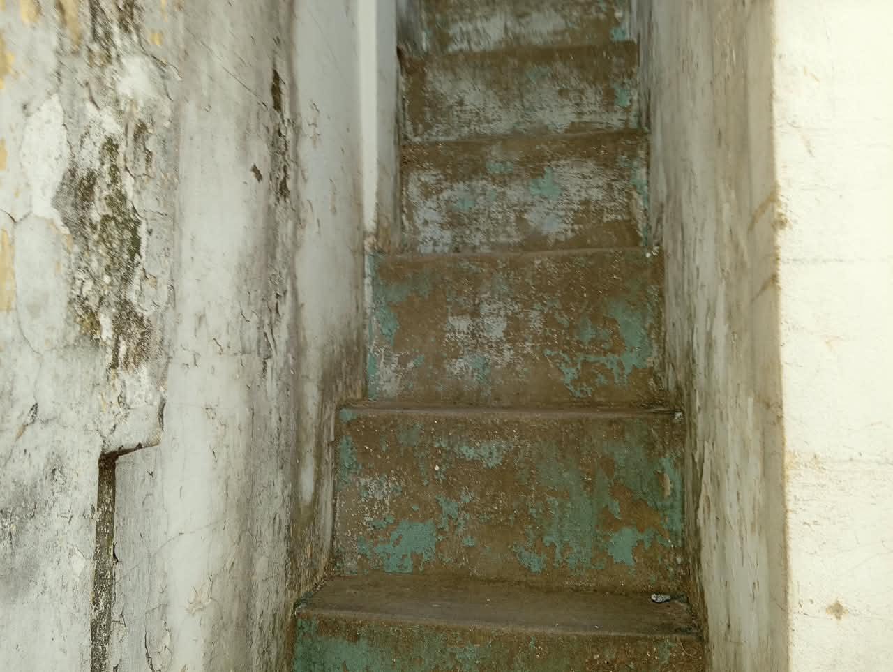 image 24