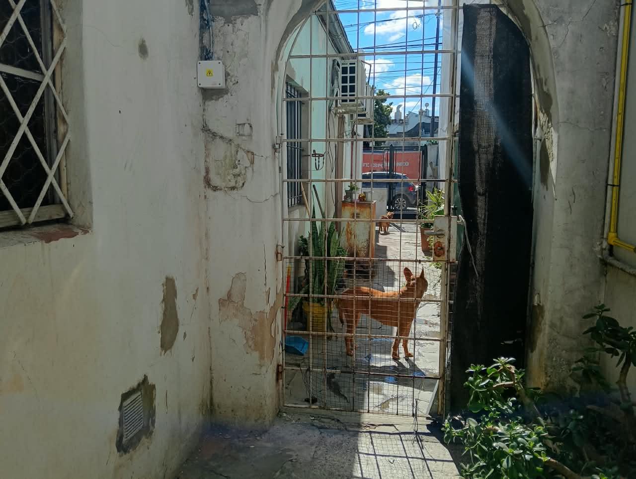 image 25