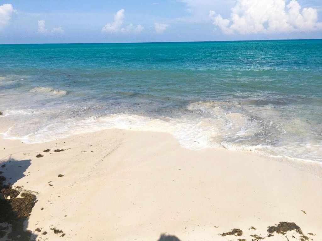TERRENO FRENTE AL MAR VENTA ISLA BLANCA USO COMERCIAL