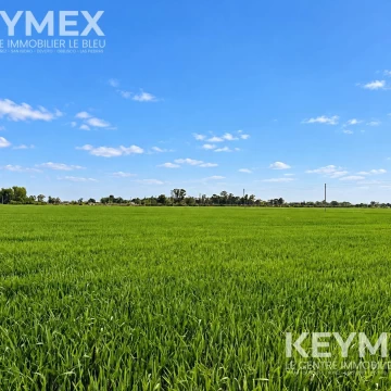 Terreno en Virrey Del Pino