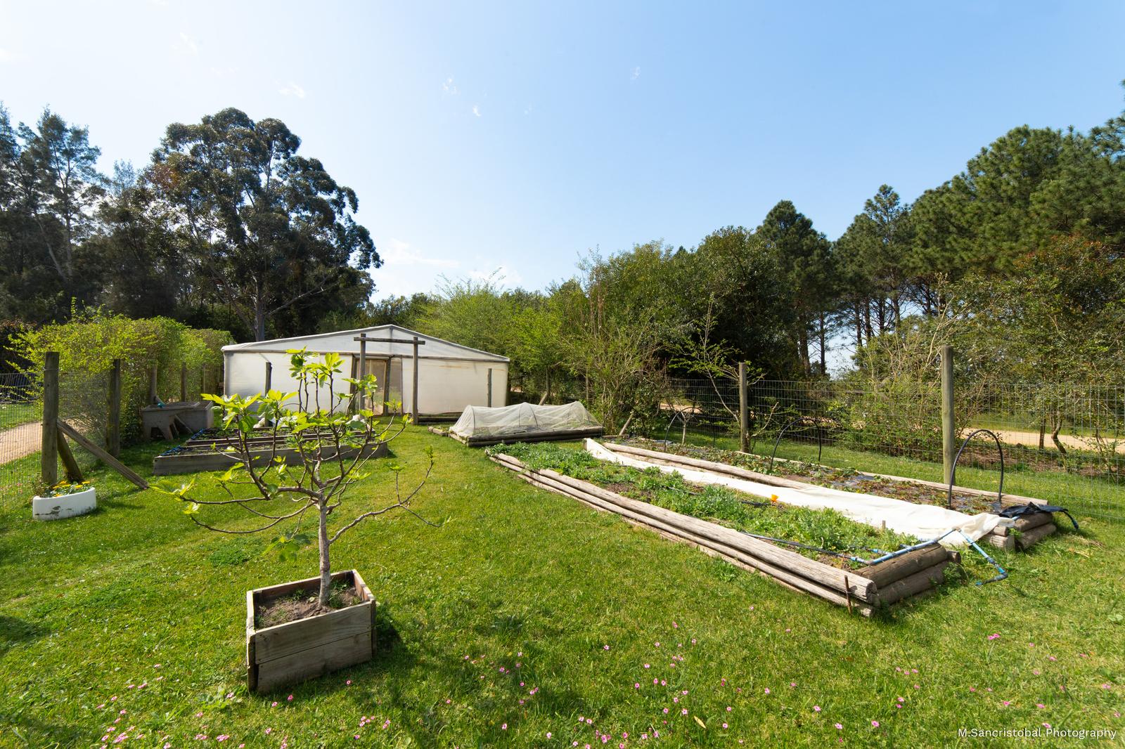 image 29