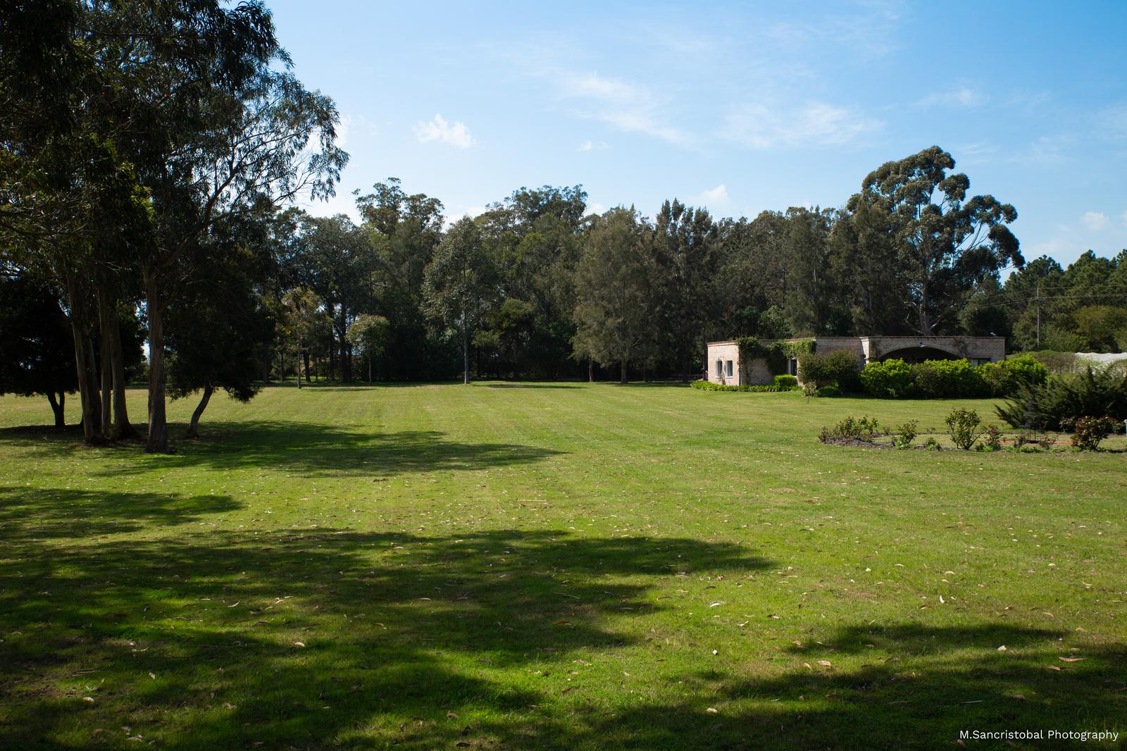 image 39