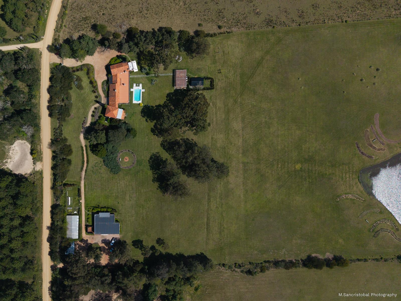 image 45