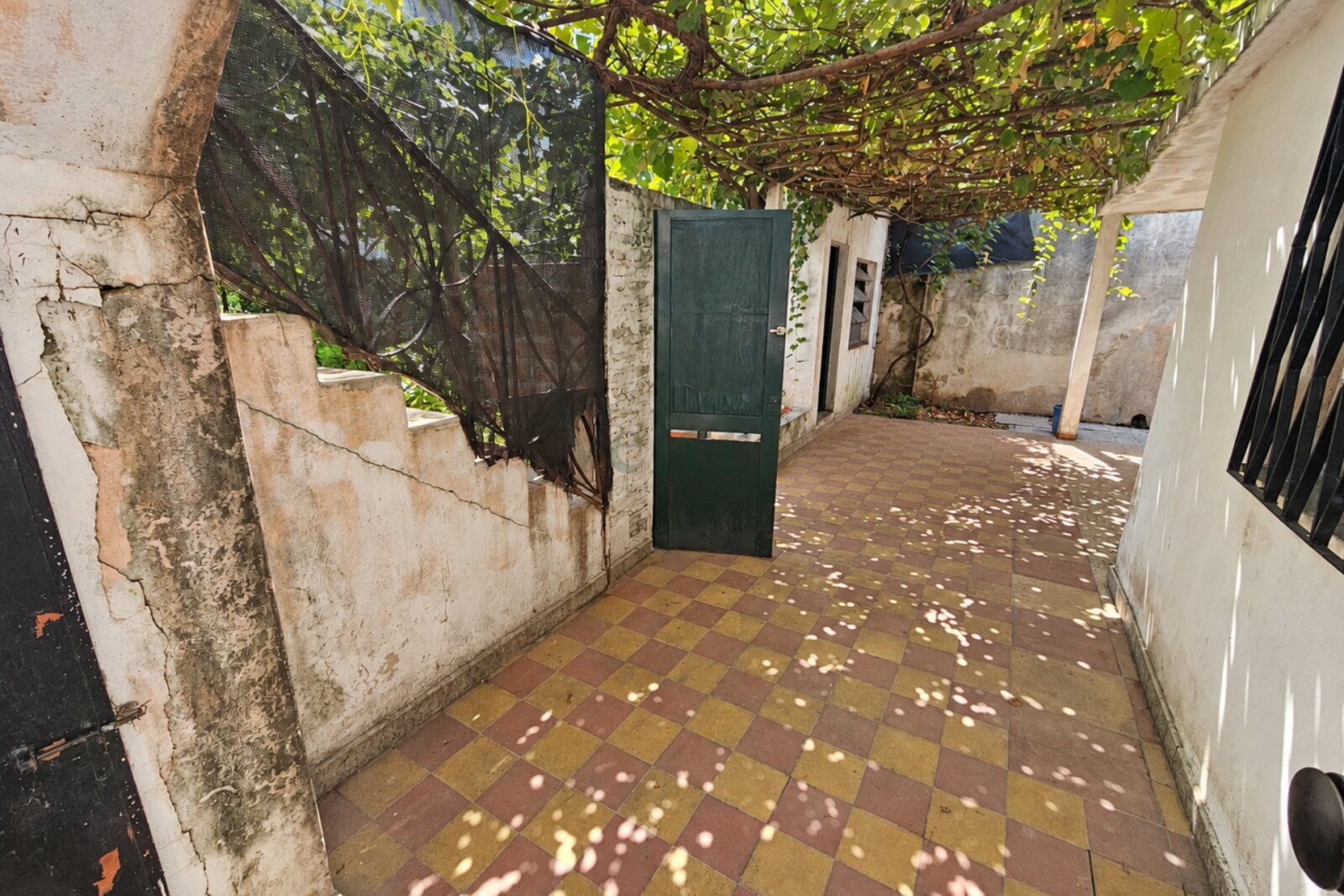 image 21