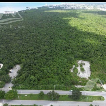 Terreno en venta en Cozumel Quintana roo