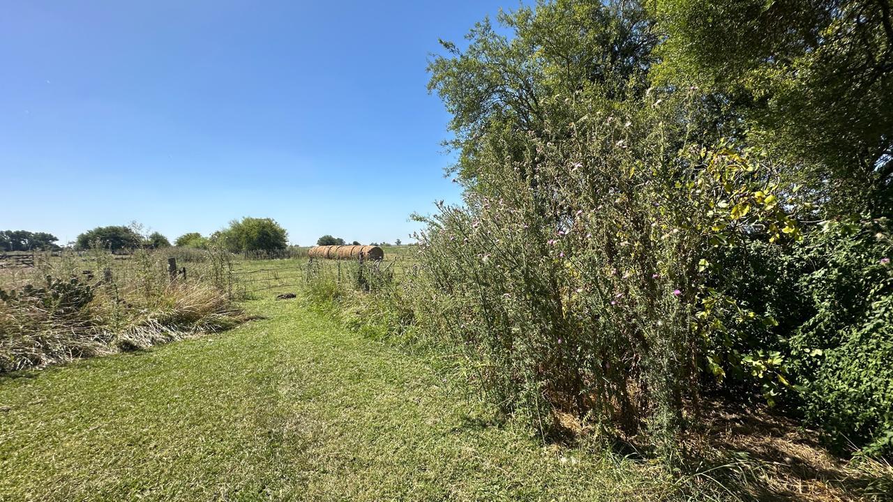 image 50