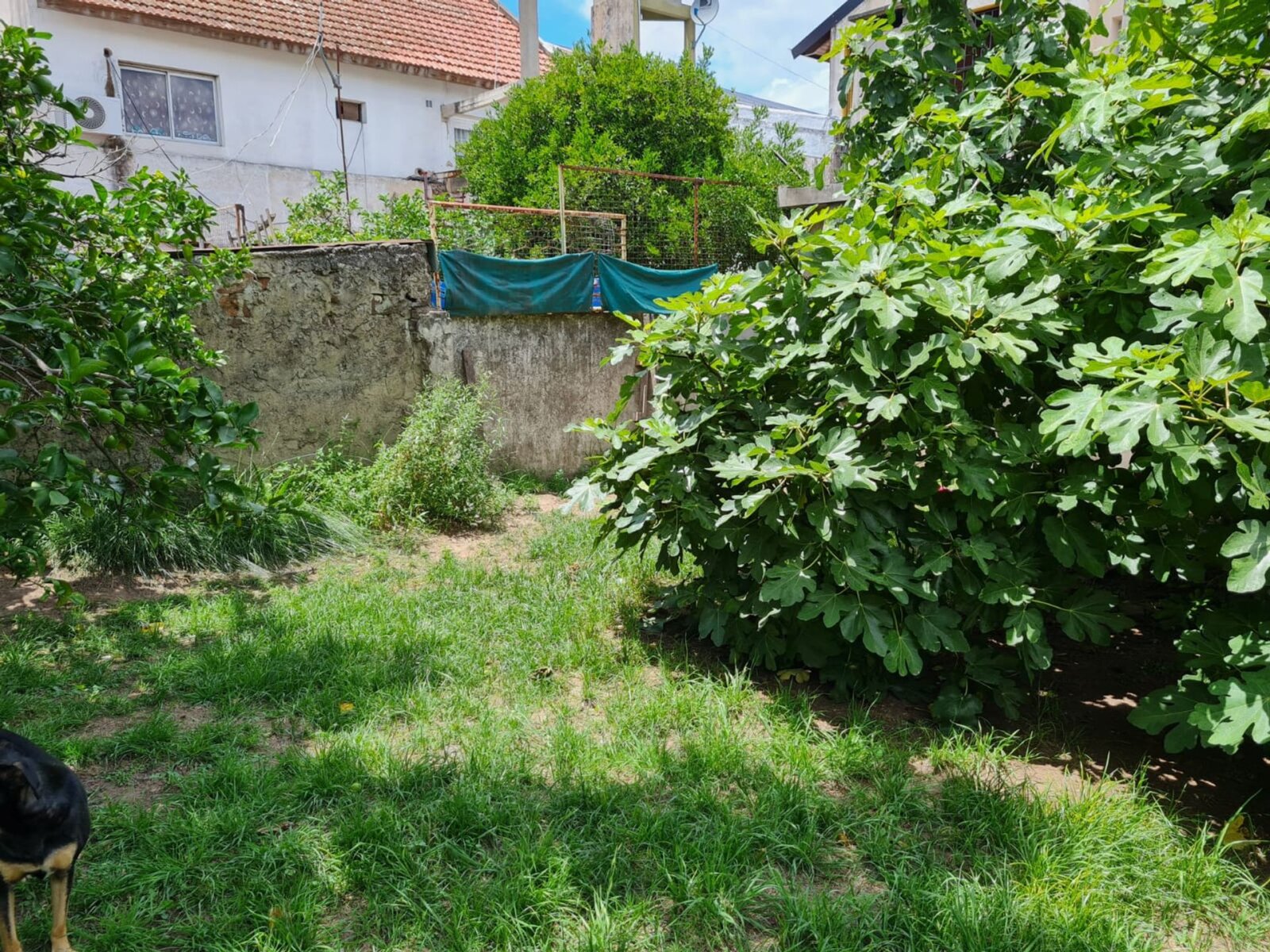 image 13