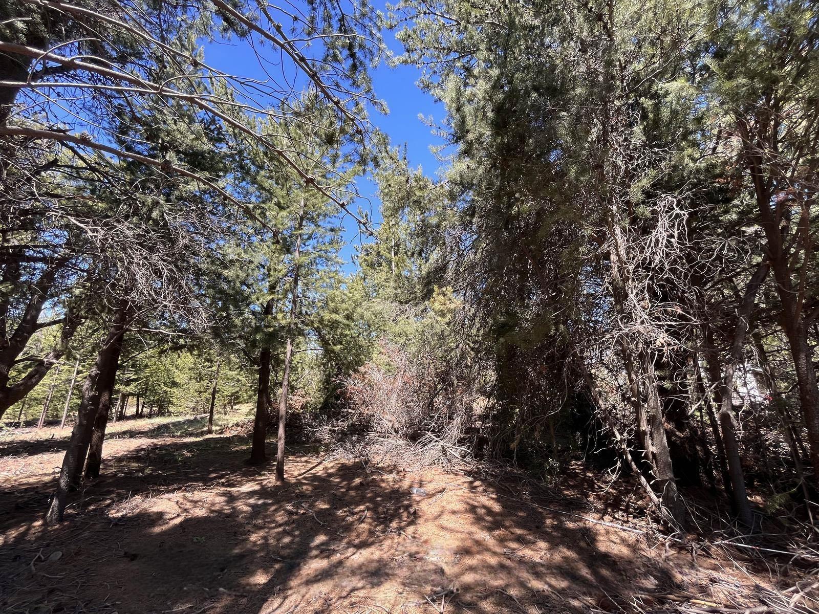 image 14