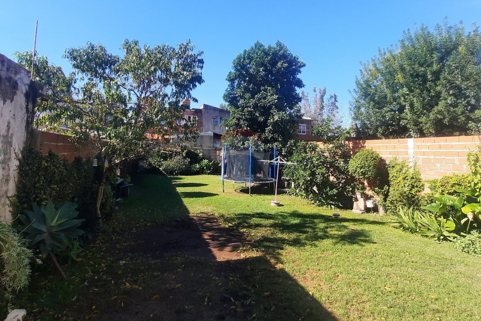 image 13