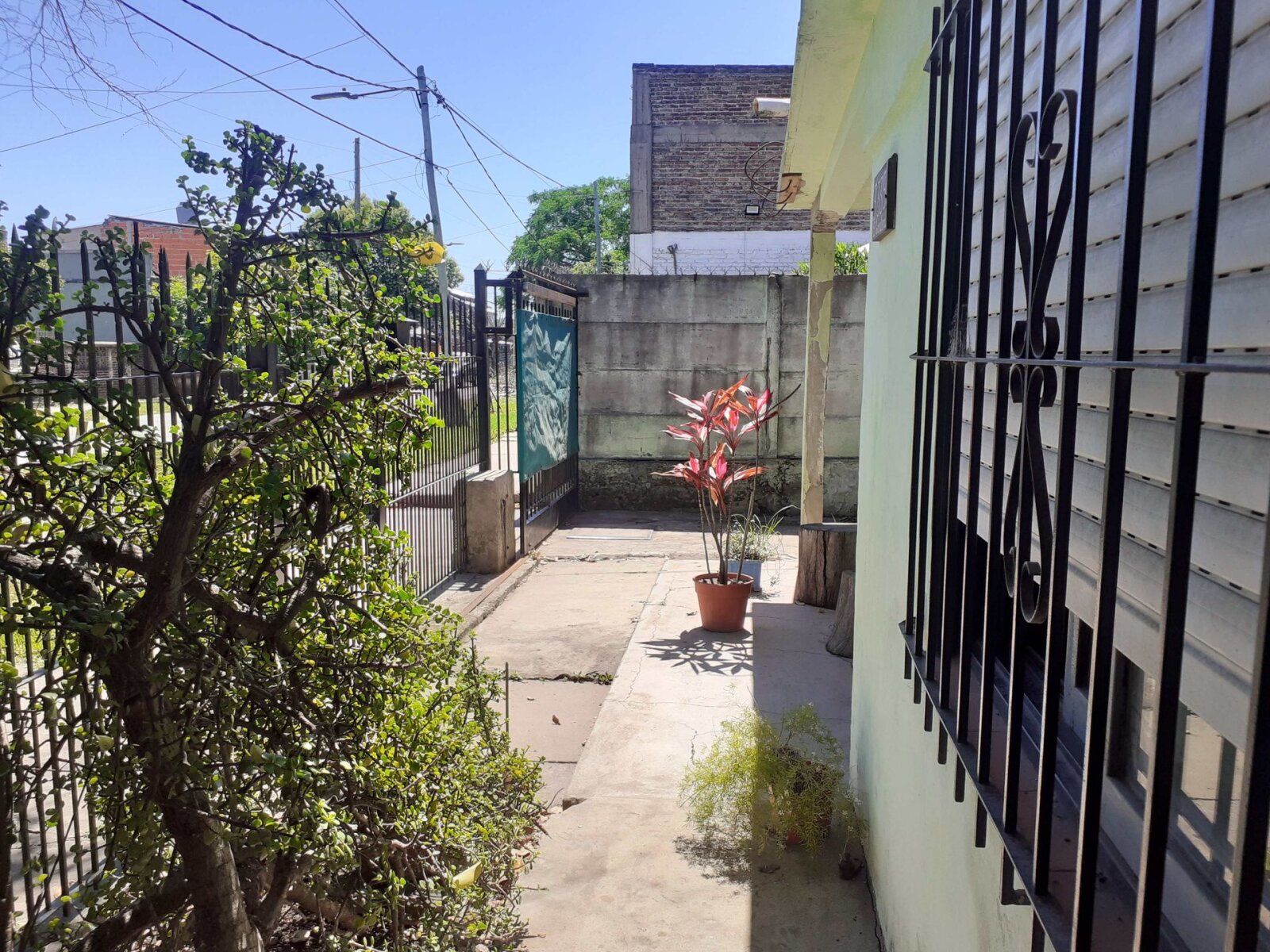 image 23