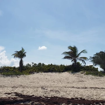 Terreno Hotelero - Residencial en Isla Blanca VENTA