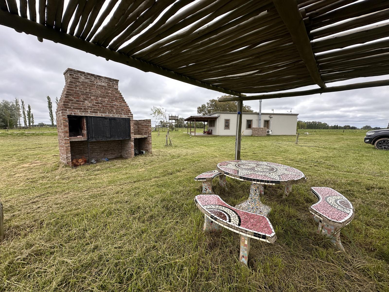 image 41