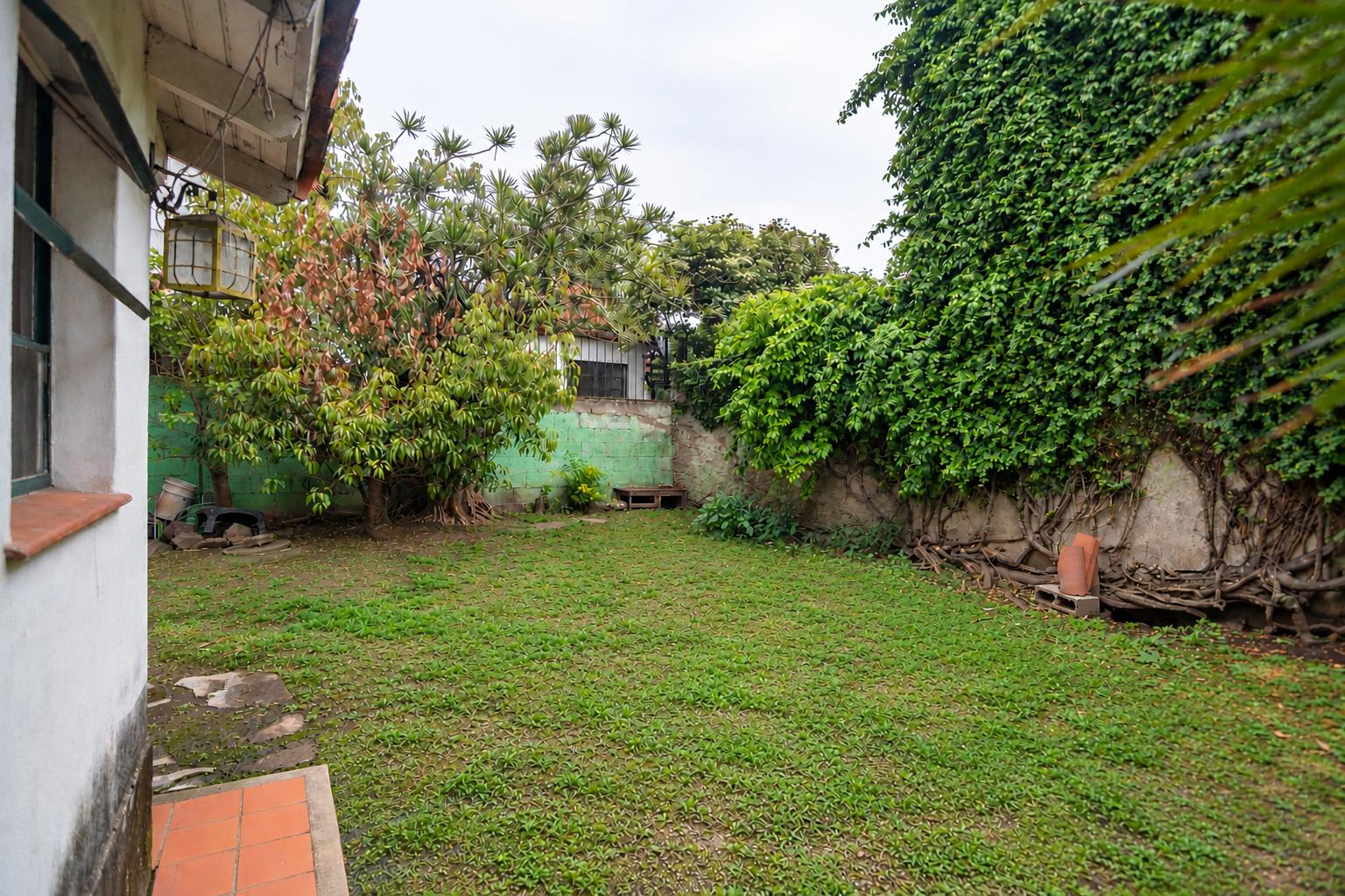 image 33