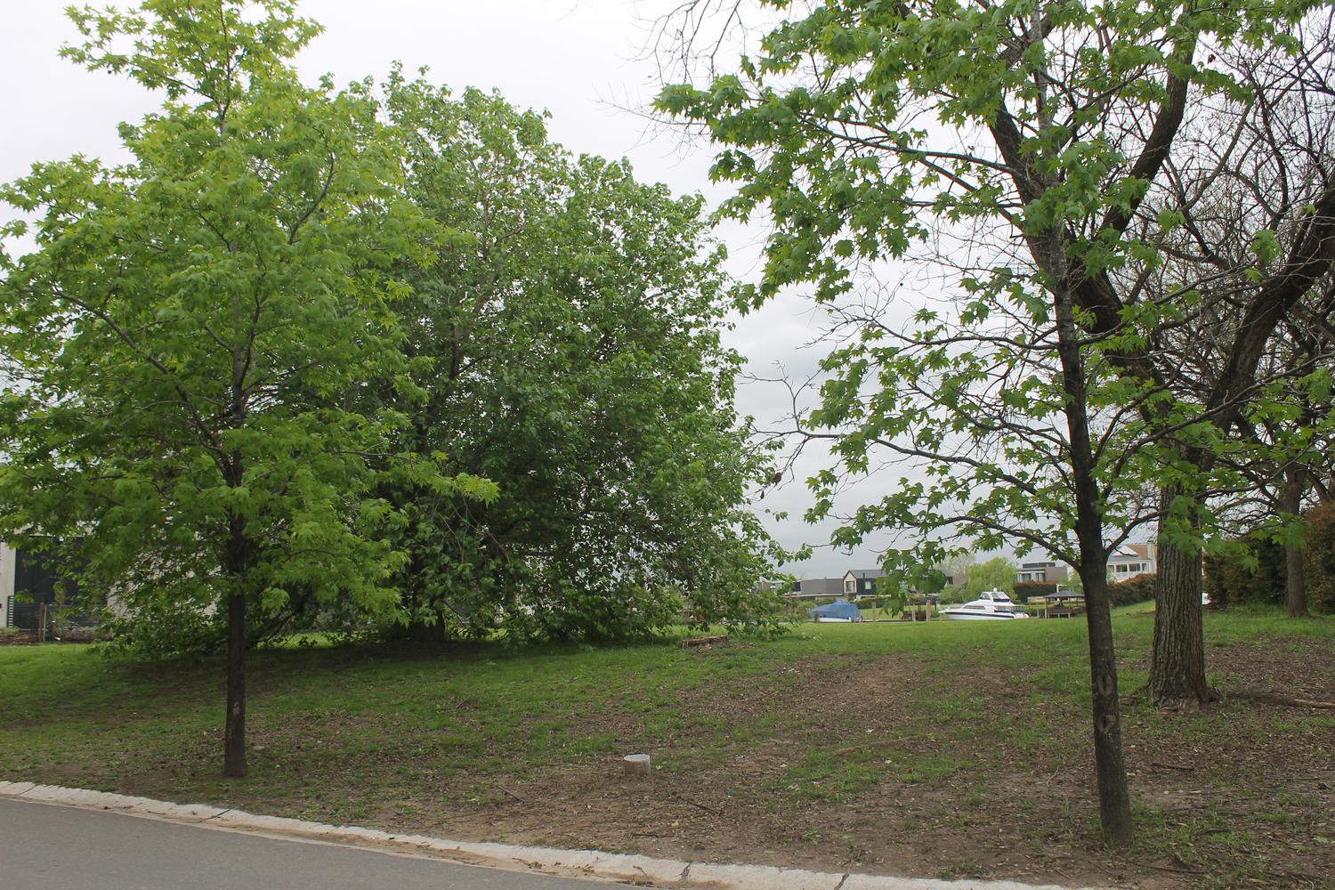 Vista del lote y su arboleda