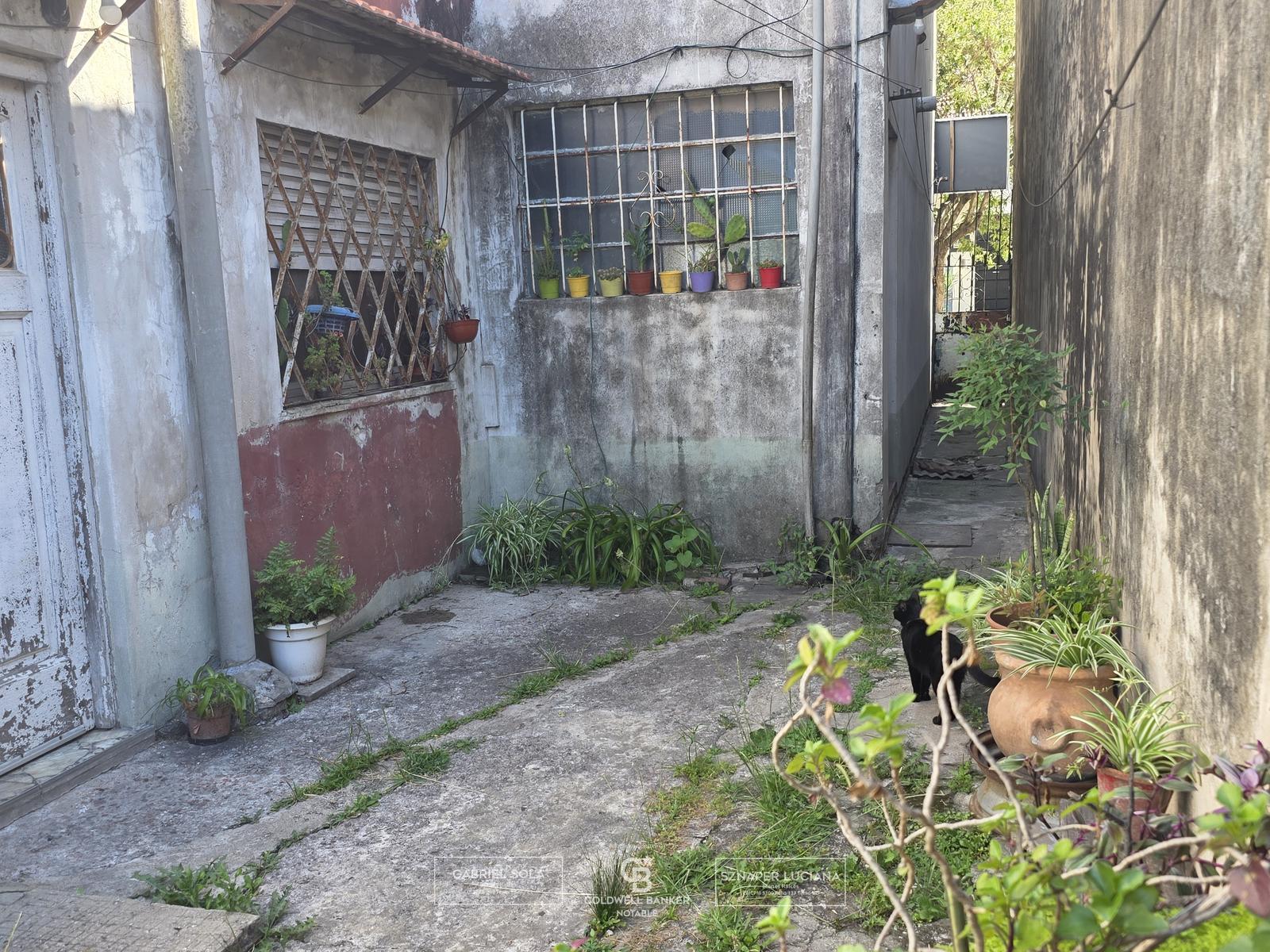 image 41
