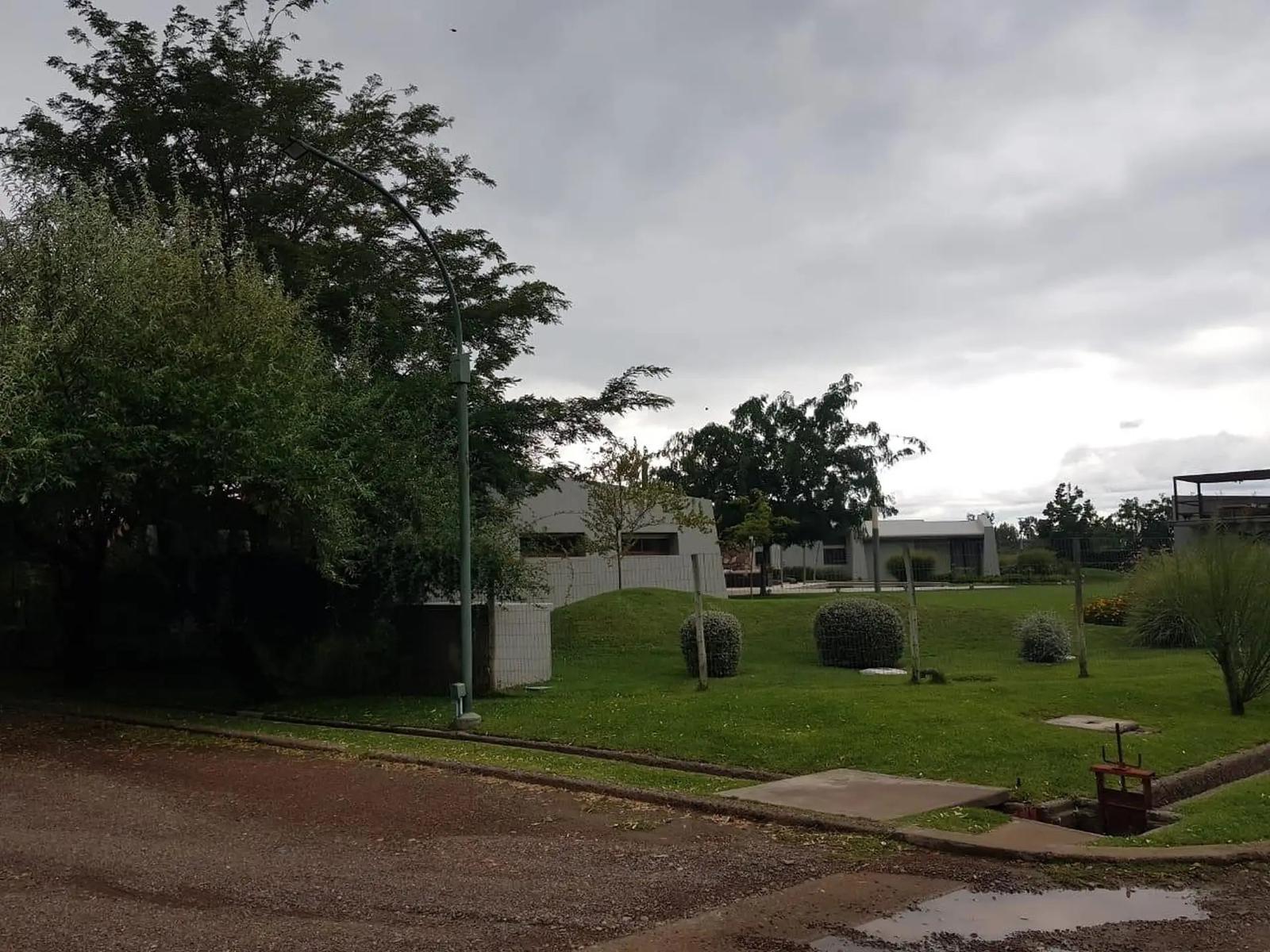 image 29