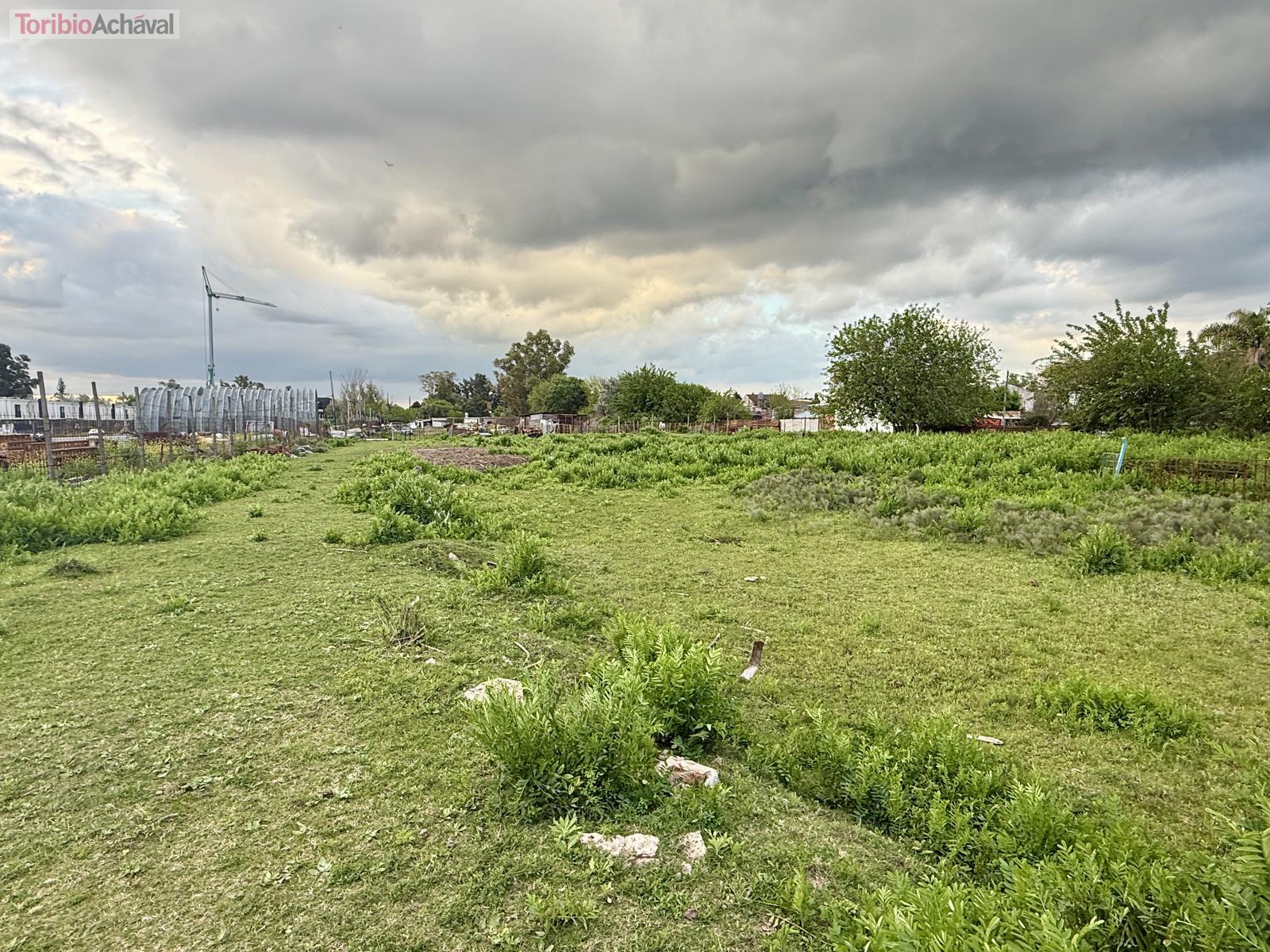image 24