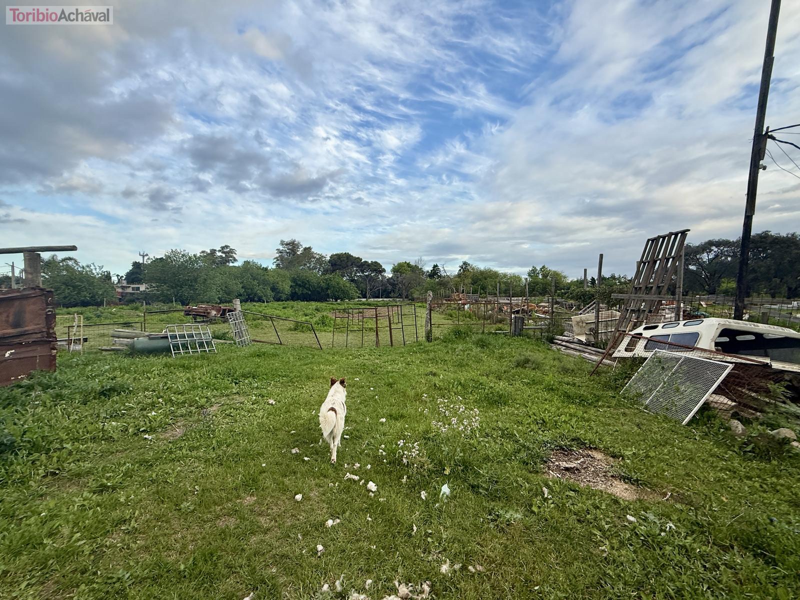 image 25