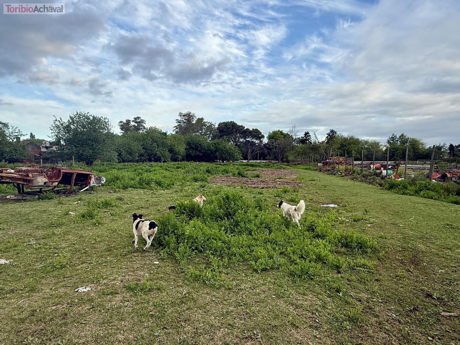 image 26
