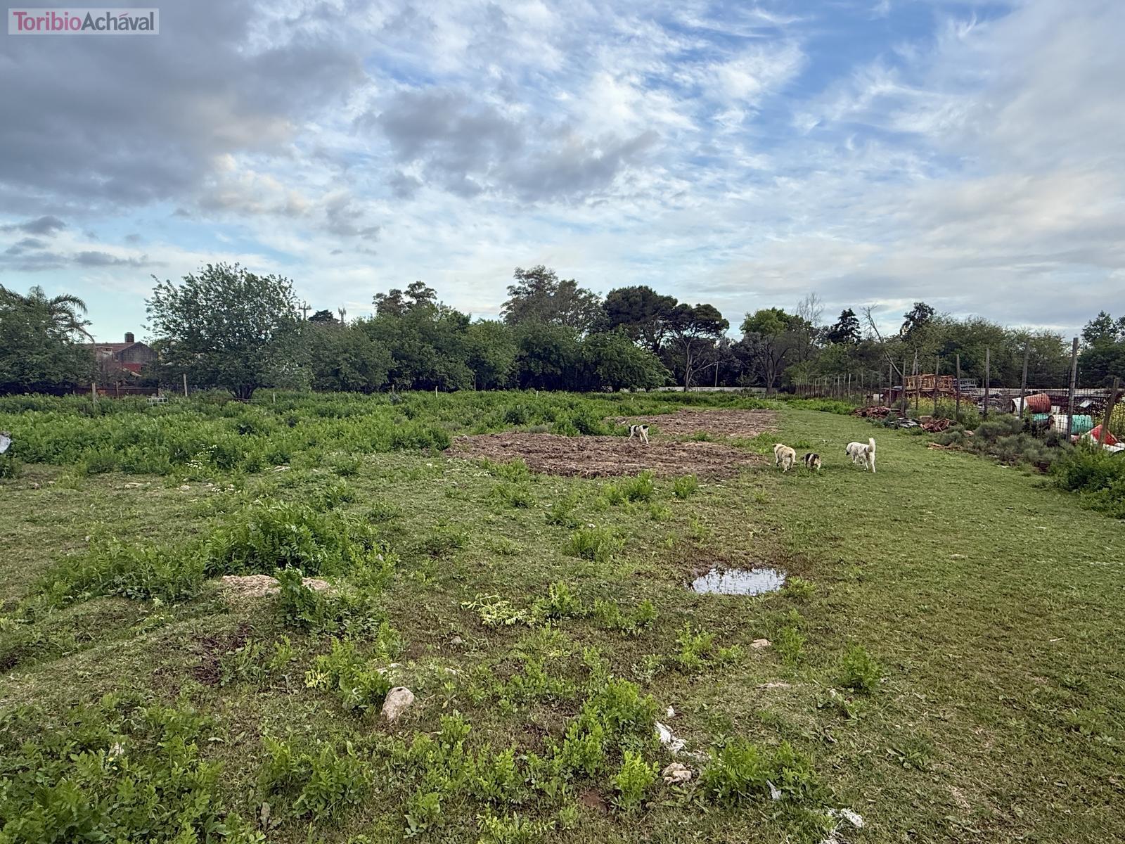 image 28