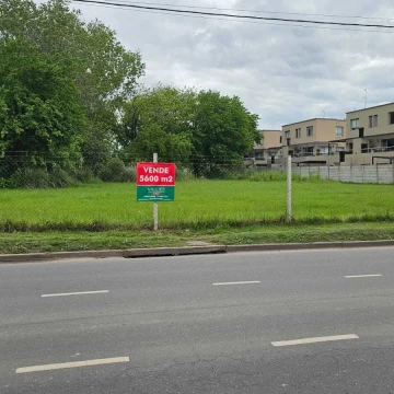 Terreno Venta en 5617 mts en Caamaño 400