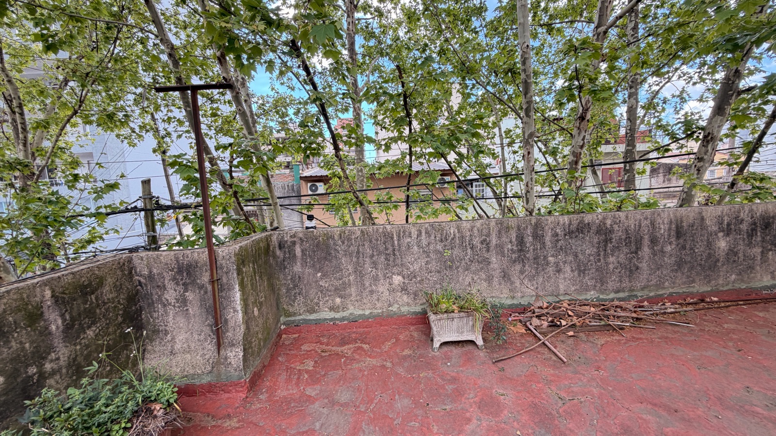 image 42