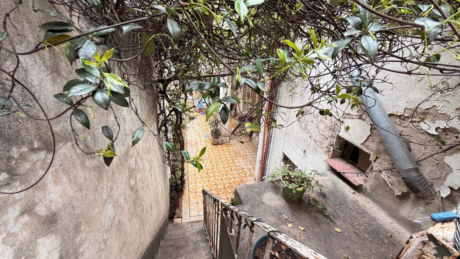 image 21