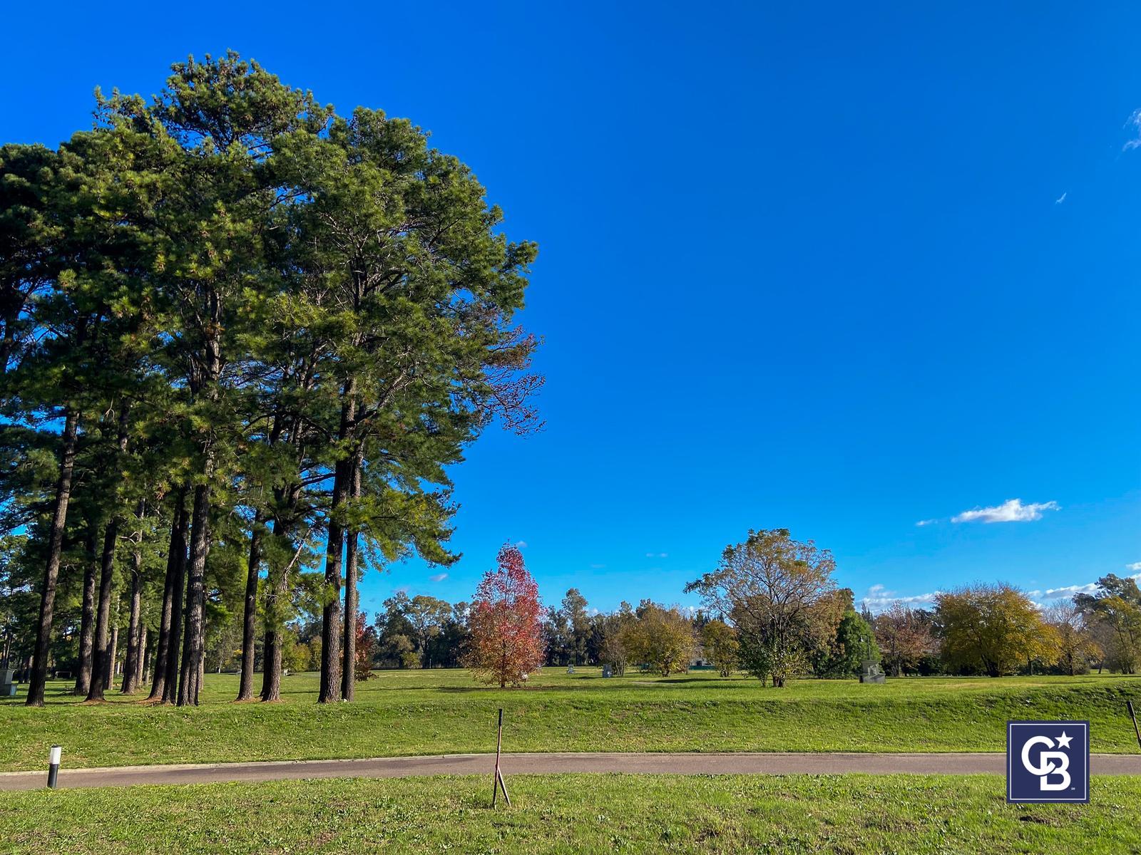 image 13