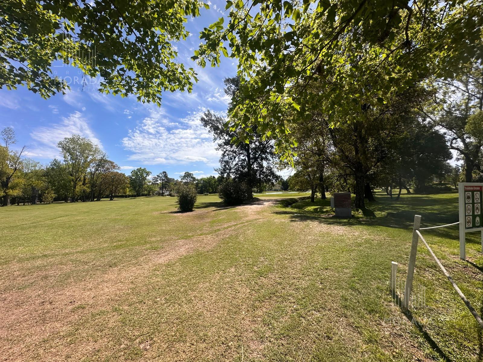 image 25