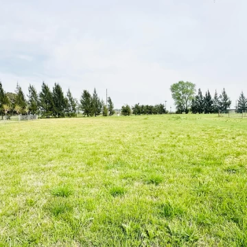 Lote en venta en Prados de la Vega