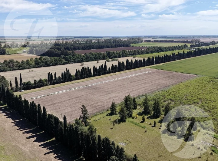 CHACRA DE 2,5 HECTÁREAS PRODUCTIVAS EN VENTA – GOBERNADOR CASTRO, SAN PEDRO