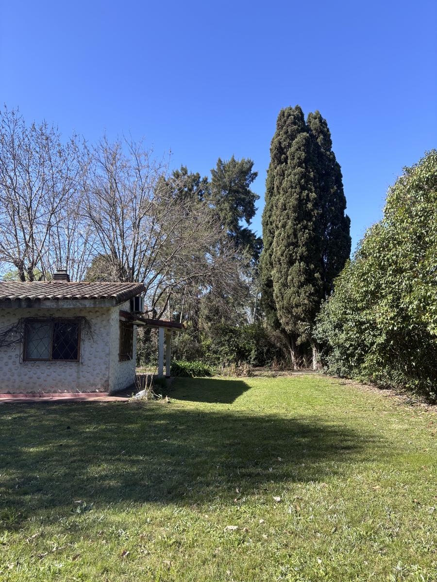 image 31