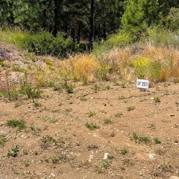 Terreno en San Carlos De Bariloche Solares del Este
