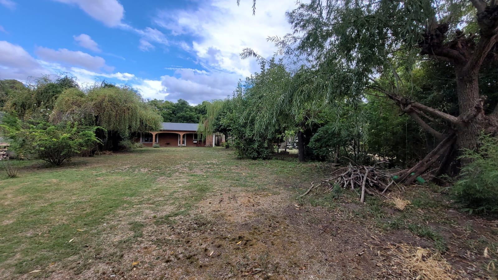image 25