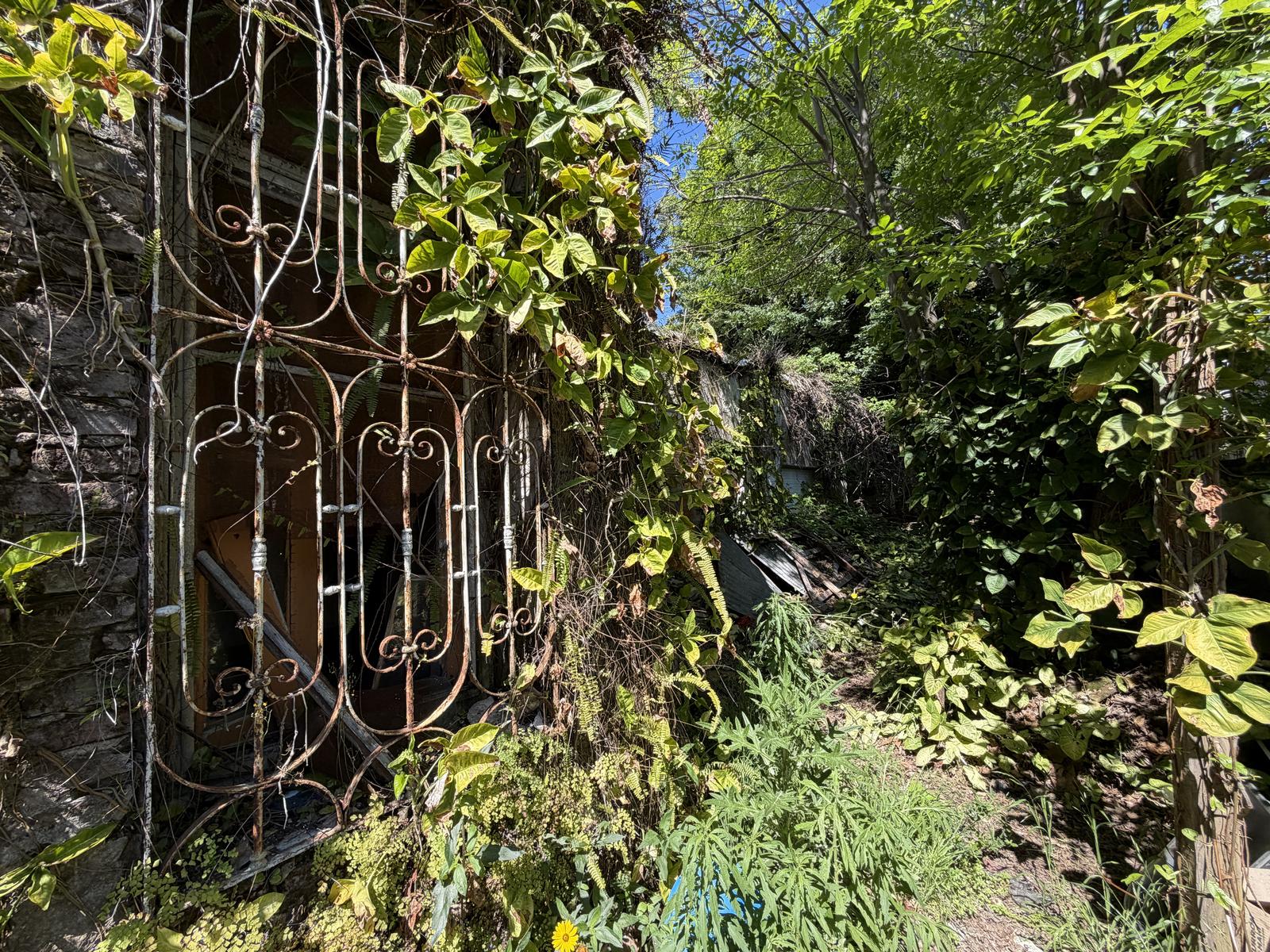 image 15