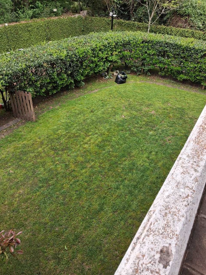 image 26