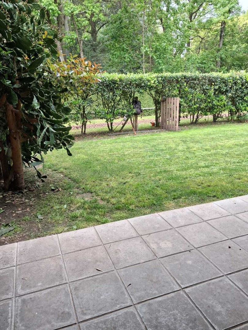 image 31