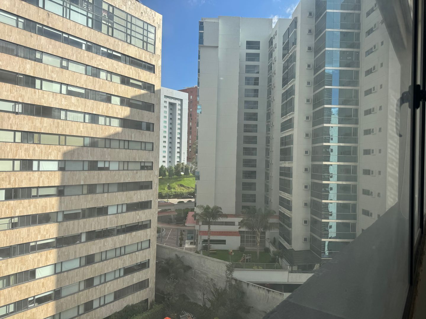 IMG_4982.jpeg