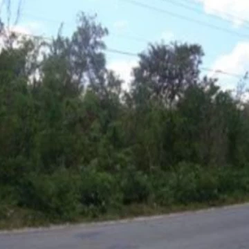 Terreno Turístico – Habitacional venta en Cozumel