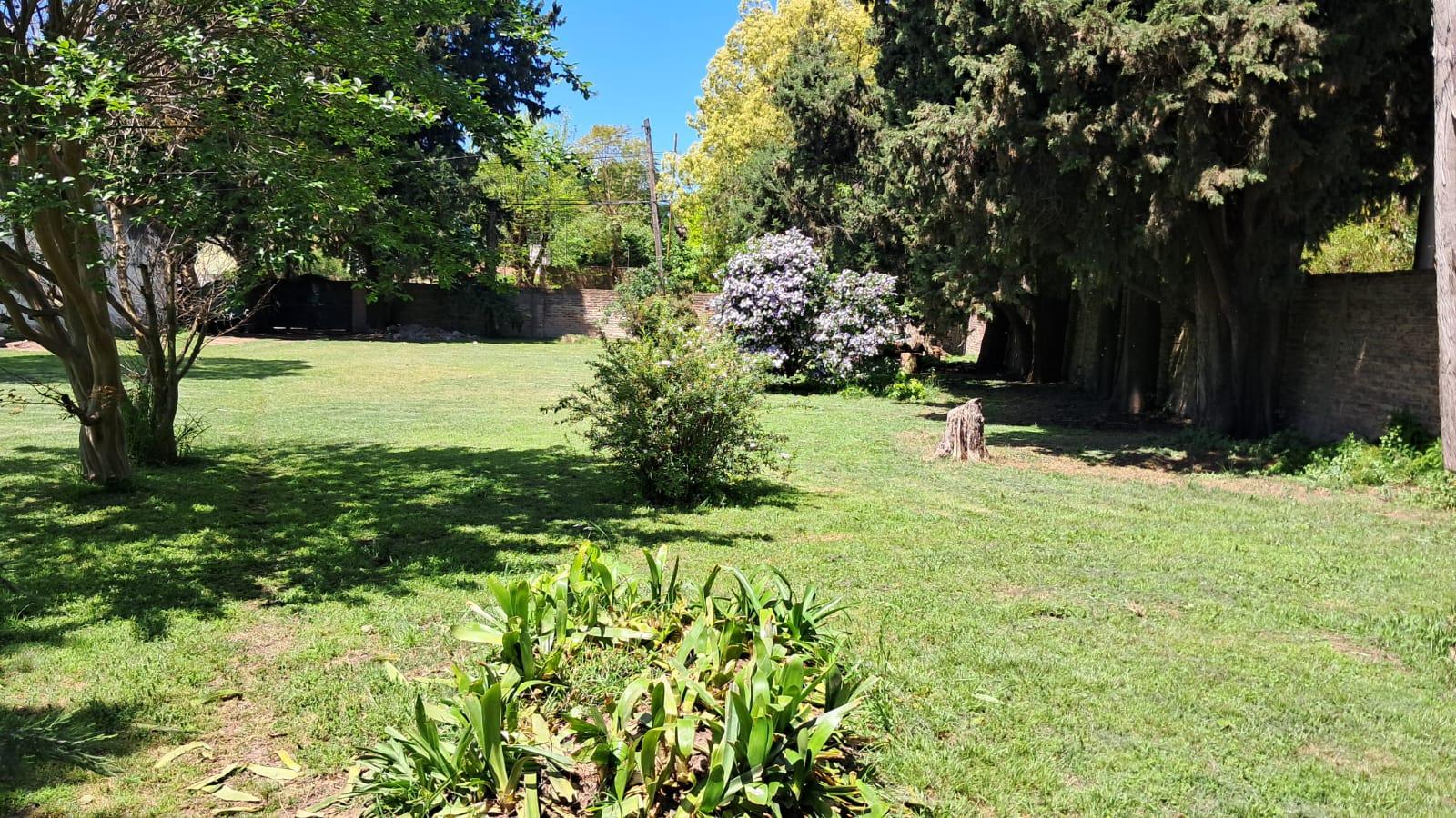image 14