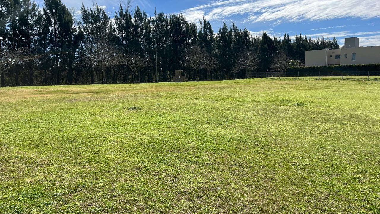 image 14