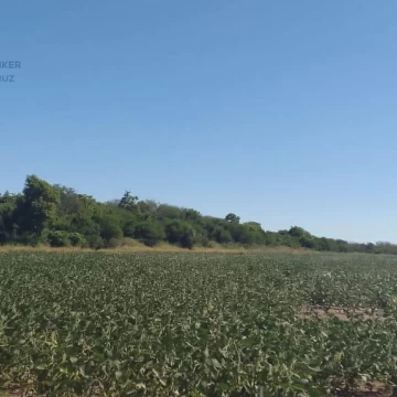 Campo Mixto 221Ha Agrícola Ganadero - San Justo Santa Fe
