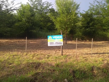Terreno - Molinari
