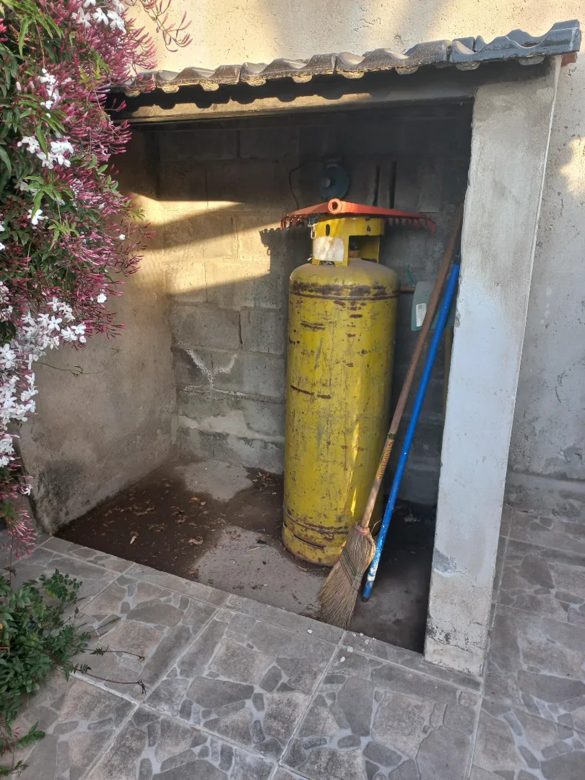 image 18
