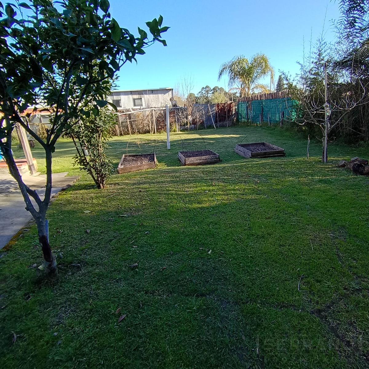 image 38