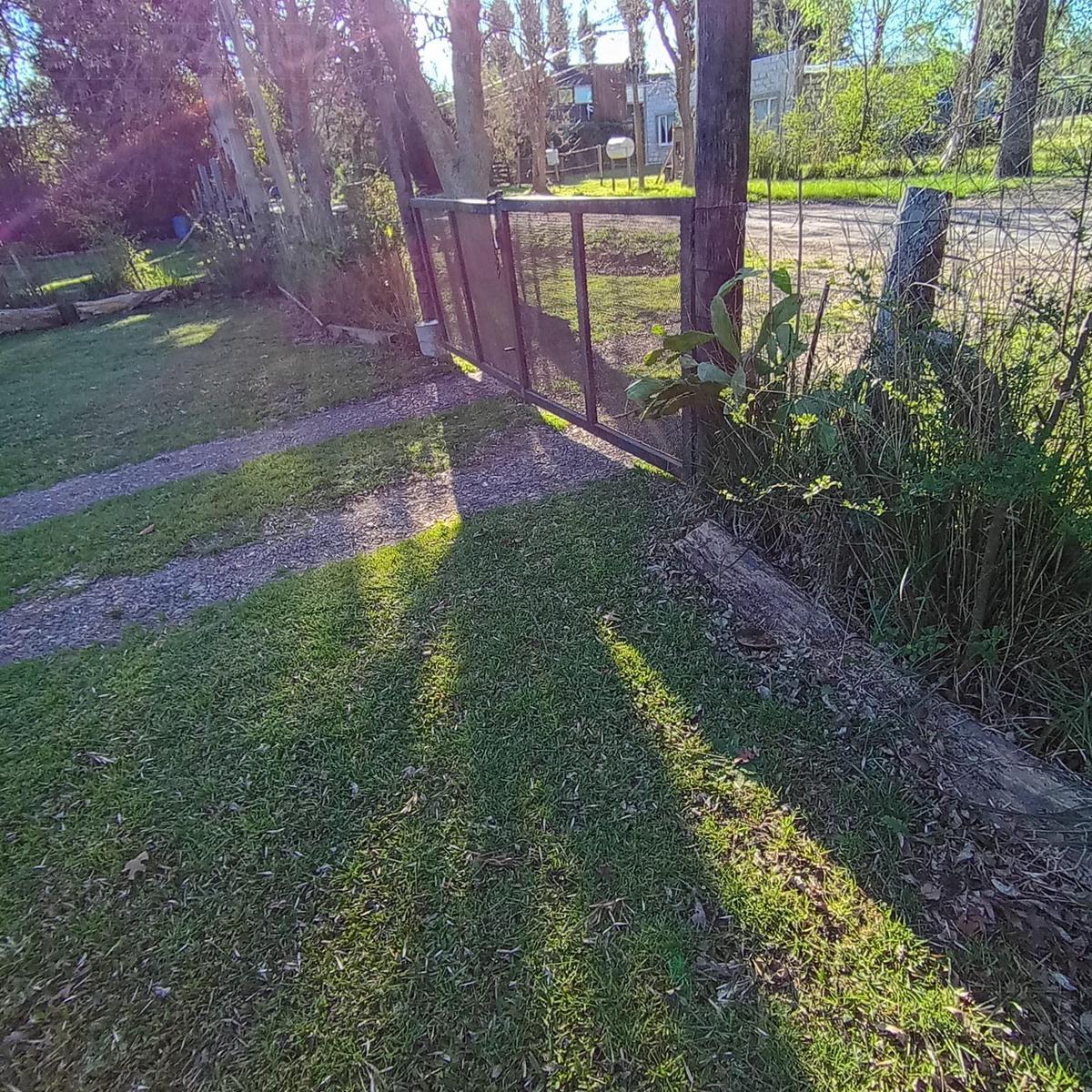 image 39