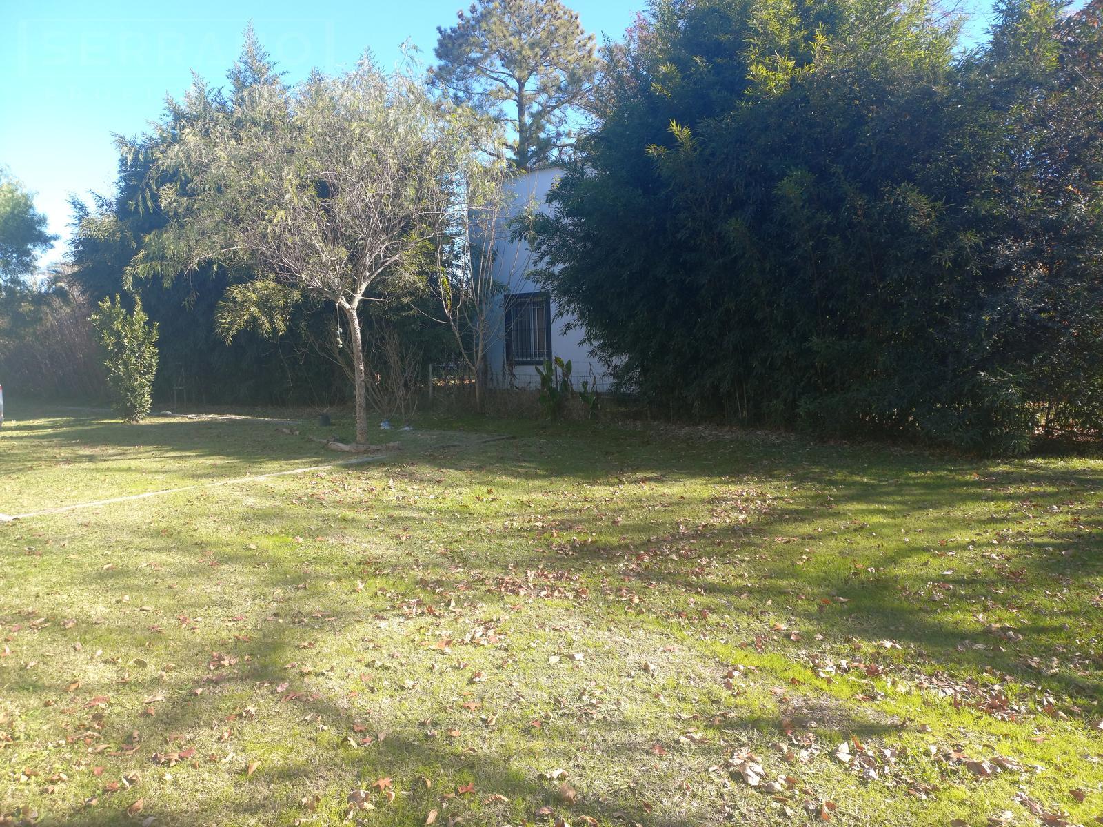 image 41