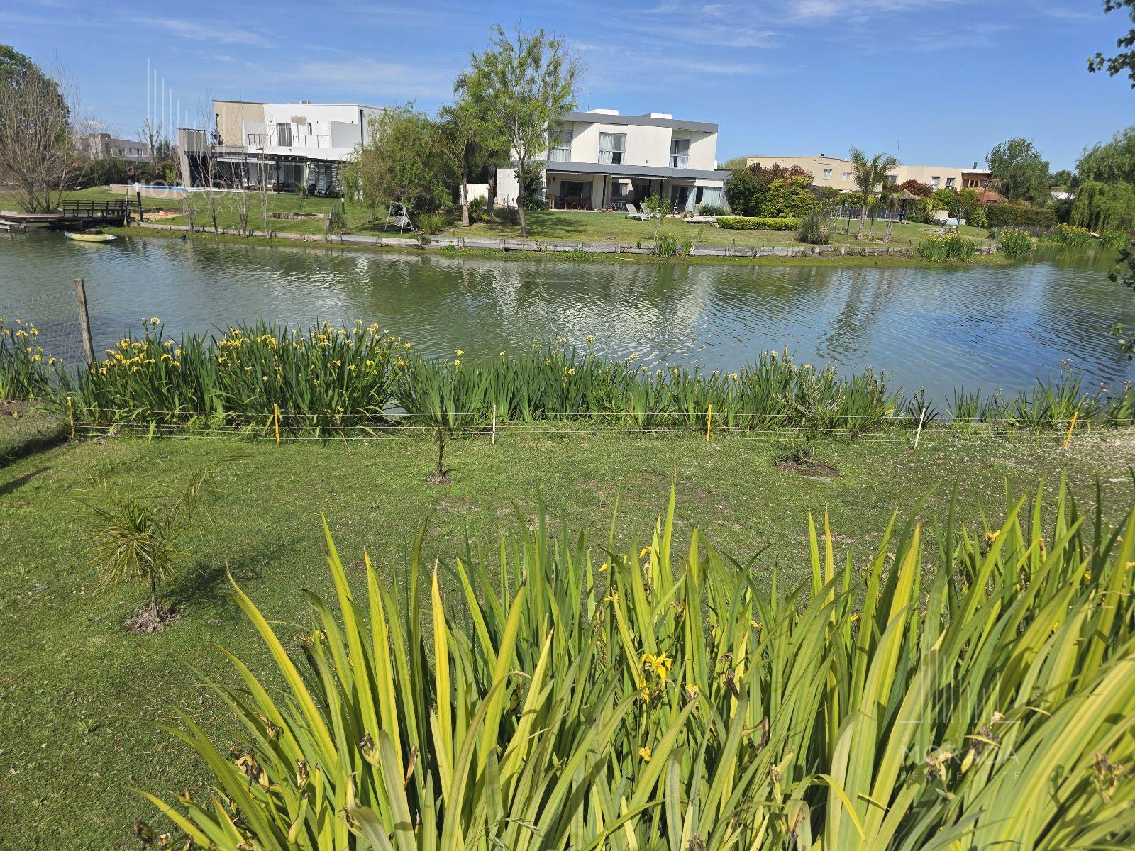 image 38