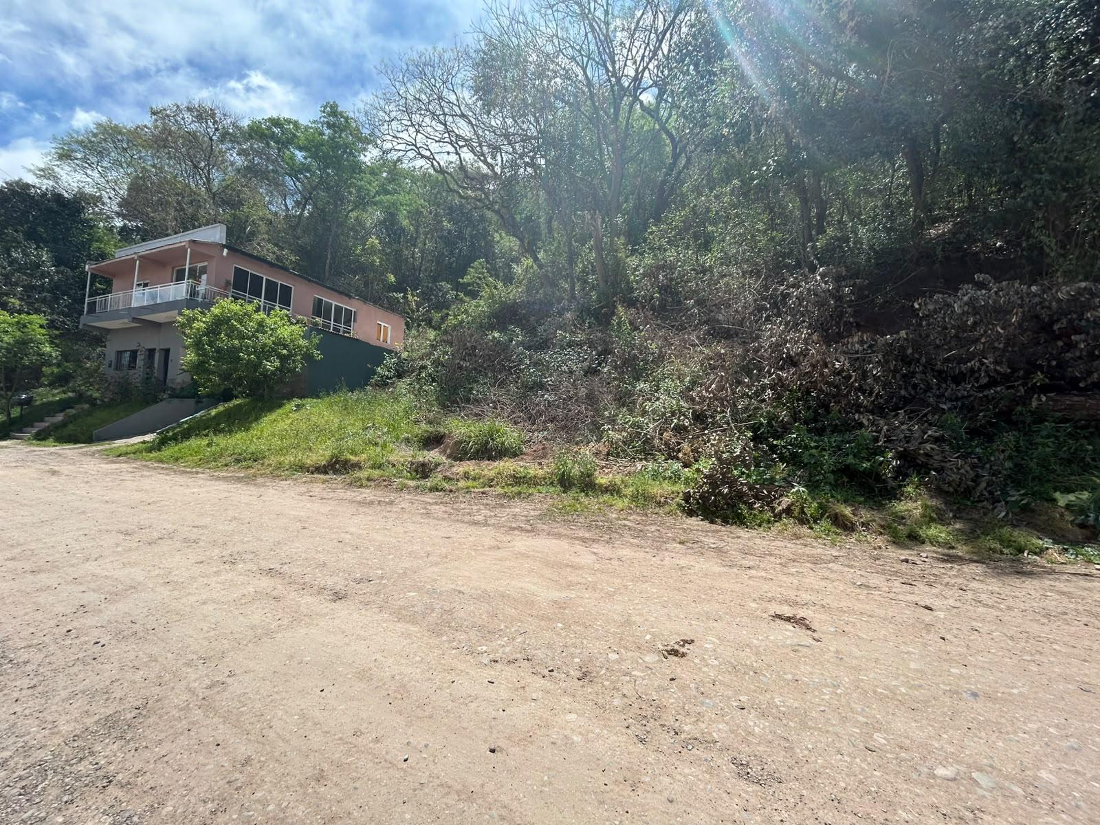 image 13